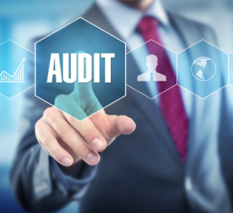 Auditing & Assessment